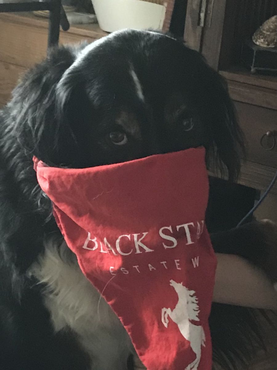 Chester